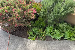 2029 Albany Dr, Santa Rosa, CA 95401 - Photo 4