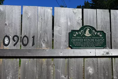 10901 Gurley Lane, Mendocino, CA 95460 - Photo 50