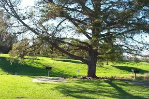 24 Valencia Ct, Fairfield, CA 94533 - Photo 40