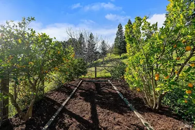 23121 Vineyard Road, Geyserville, CA 95441 - Photo 50