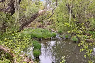 3048 Myrtledale Rd, Calistoga, CA 94515 - Photo 34