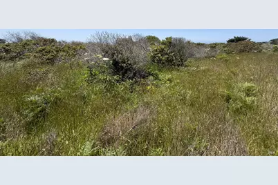 56 Sea Meadow Drive, The Sea Ranch, CA 95497 - Photo 18