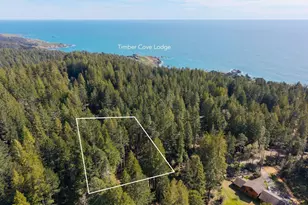 22096 Umland Cir, Jenner, CA 95450 - Photo 1