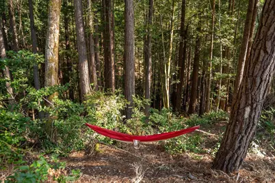 22096 Umland Circle, Jenner, CA 95450 - Photo 16