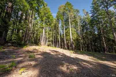 22096 Umland Circle, Jenner, CA 95450 - Photo 10