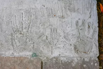 144 Morningside Drive, San Anselmo, CA 94960 - Photo 68