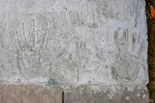 144 Morningside Dr, San Anselmo, CA 94960 - Photo 68