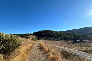 121 San Marino Dr, San Rafael, CA 94901 - Photo 46