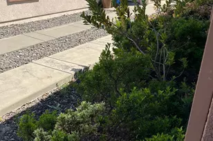 541 Redmont, Rio Vista, CA 94571 - Photo 30