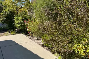 541 Redmont, Rio Vista, CA 94571 - Photo 26