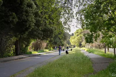 35 Palm Avenue, Corte Madera, CA 94925 - Photo 42