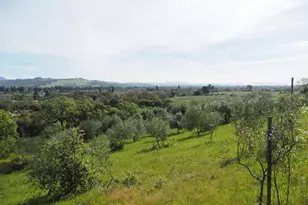1077 Westside Rd, Healdsburg, CA 95448 - Photo 1