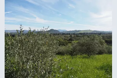 1077 Westside Road, Healdsburg, CA 95448 - Photo 12