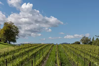 1129 Dealy Lane, Napa, CA 94559 - Photo 38