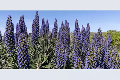 19909 Heron Drive, Bodega Bay, CA 94923 - Photo 8