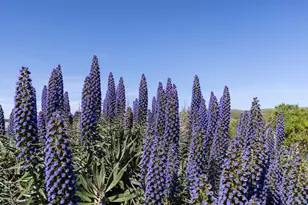 19909 Heron Dr, Bodega Bay, CA 94923 - Photo 8