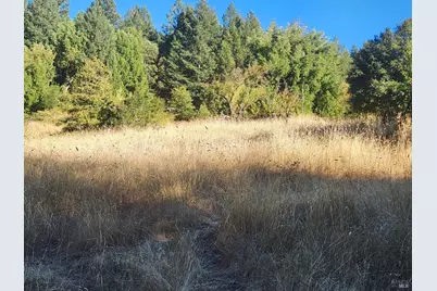 14411 Poonkinney Road, Dos Rios, CA 95429 - Photo 4