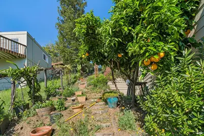 10 Elkhorn Way, San Anselmo, CA 94960 - Photo 64