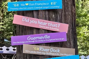 16868 Center Way, Guerneville, CA 95446 - Photo 30