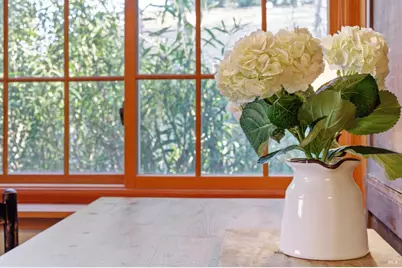 151 High Street, Calistoga, CA 94515 - Photo 16