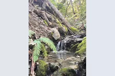 74000 Island Mountain Road, Laytonville, CA 95454 - Photo 4