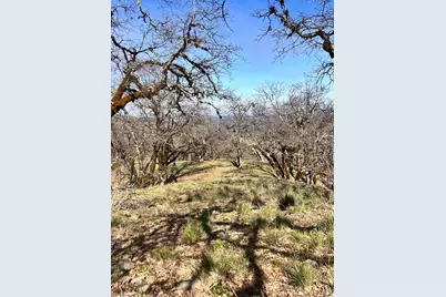 74000 Island Mountain Road, Laytonville, CA 95454 - Photo 20