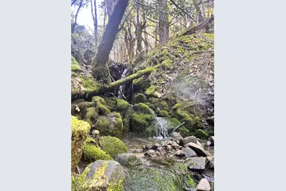 74000 Island Mountain Road, Laytonville, CA 95454 - Photo 30