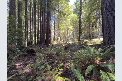 36505 Deep Woods Drive, The Sea Ranch, CA 95497 - Photo 10