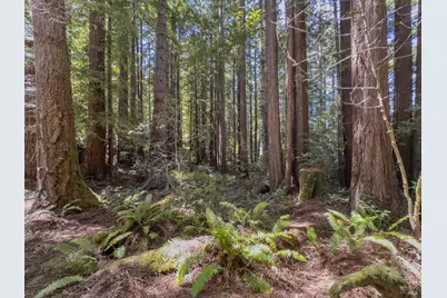 36505 Deep Woods Drive, The Sea Ranch, CA 95497 - Photo 4