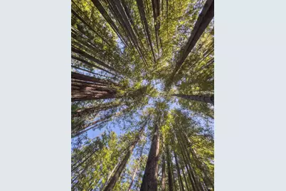 36505 Deep Woods Drive, The Sea Ranch, CA 95497 - Photo 6