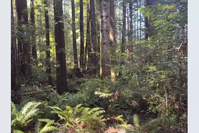36505 Deep Woods Drive, The Sea Ranch, CA 95497 - Photo 12