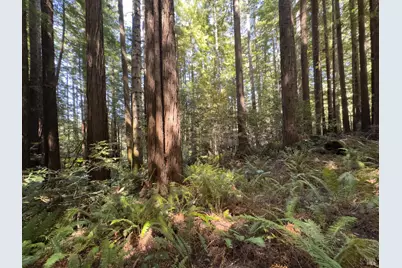 36505 Deep Woods Drive, The Sea Ranch, CA 95497 - Photo 14