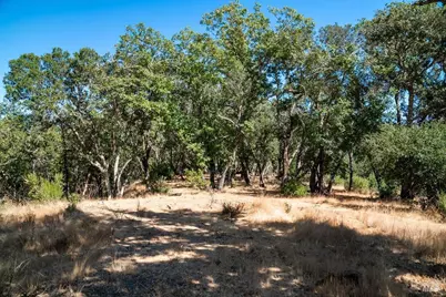 0 Mount Veeder Road, Saint Helena, CA 94574 - Photo 12