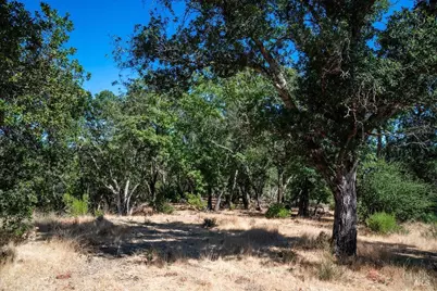 0 Mount Veeder Road, Saint Helena, CA 94574 - Photo 10