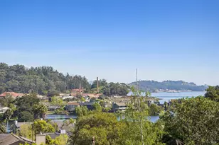 30 Chateau Pl, San Rafael, CA 94901 - Photo 38