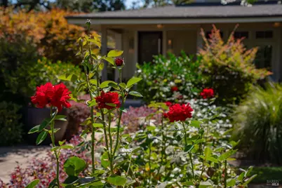 1551 Spring Street, Saint Helena, CA 94574 - Photo 44