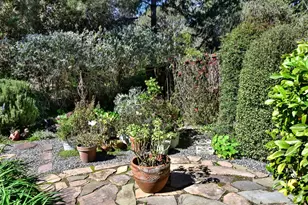 743 Paula Ln, Petaluma, CA 94952 - Photo 26