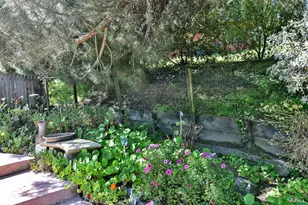 743 Paula Ln, Petaluma, CA 94952 - Photo 22