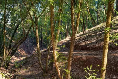 3210 W Dry Creek Road, Healdsburg, CA 95448 - Photo 24