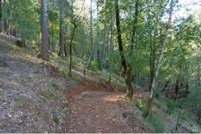 3210 W Dry Creek Road, Healdsburg, CA 95448 - Photo 10