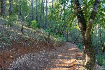 3210 W Dry Creek Road, Healdsburg, CA 95448 - Photo 14