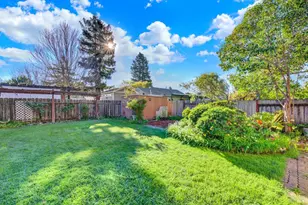 2811 Cypress St, Napa, CA 94558 - Photo 40