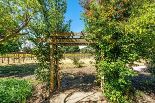 1040 Mt George Ave, Napa, CA 94558 - Photo 30