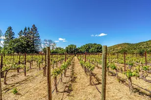 1040 Mt George Ave, Napa, CA 94558 - Photo 2