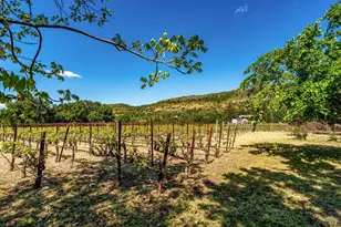 1040 Mt George Ave, Napa, CA 94558 - Photo 44