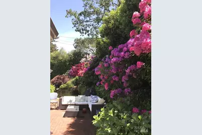 161 Lagunitas Road, Ross, CA 94957 - Photo 44