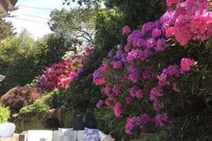 161 Lagunitas Rd, Ross, CA 94957 - Photo 44