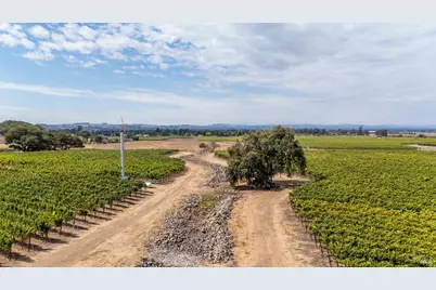 3340 Lichau Road, Penngrove, CA 94951 - Photo 10