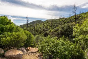 12127 Mead Rd, Middletown, CA 95461 - Photo 30