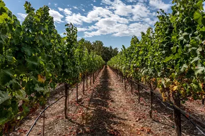 3340 Lichau Road, Penngrove, CA 94951 - Photo 20